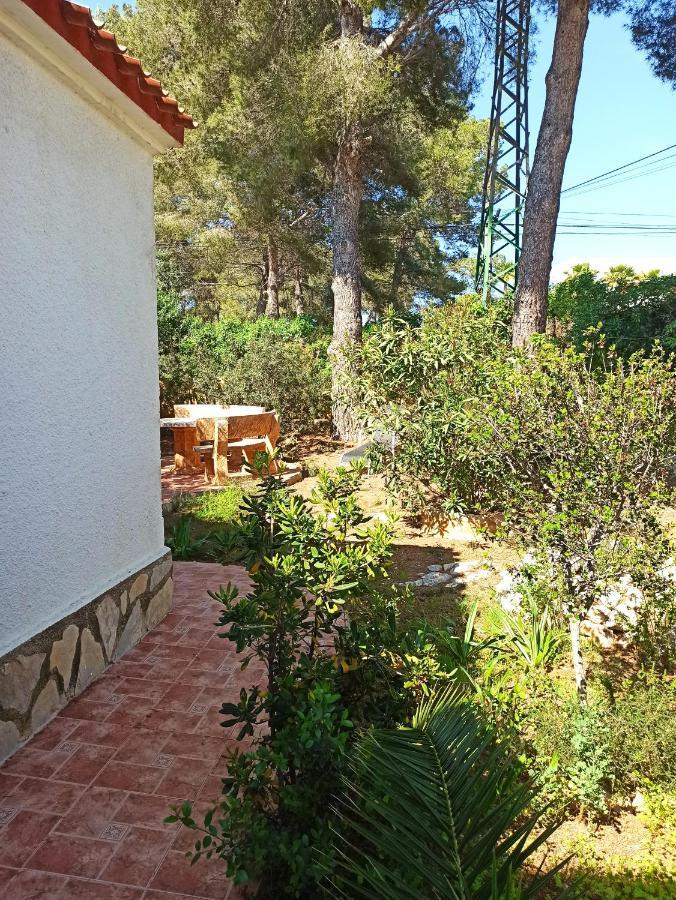 Javea Villa El Nido 10-15P Pool Minimaal 10 Nachten Geen Groep Jongelui Exteriör bild